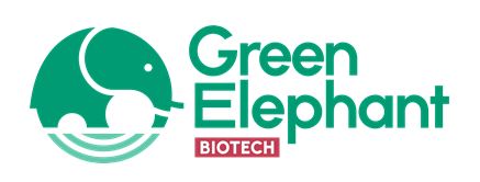 Link zur Green Elephant Webseite
